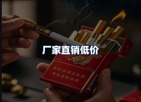专业团队办公环境